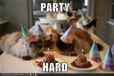 party hard cats.jpg