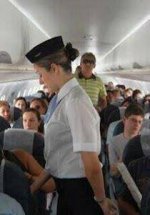 Flt Attendant.jpg