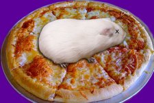 pizzatop1.jpg