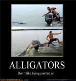 aligators.jpg