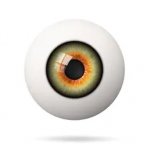 realistic-human-eyeball-retina-foreground-260nw-1453386551.jpg