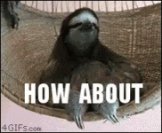 sloth-how-about-no.gif