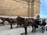 IMG_8932.jpeg