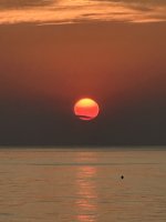 IMG_9360.jpeg
